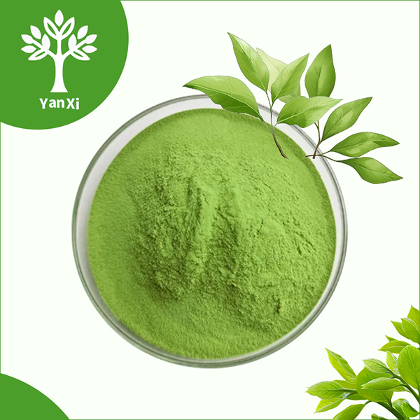 Pure Matcha Powder Bulk Pure Matcha Powder Bulk